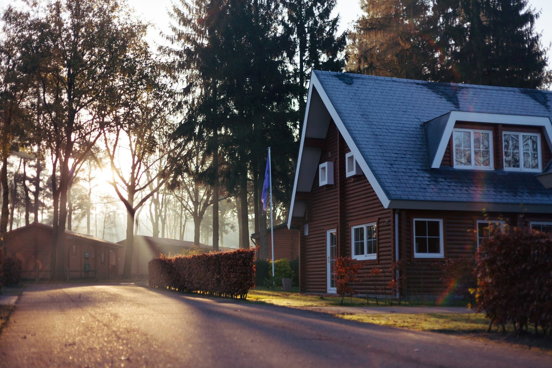 A brick house on a tree-lined street, late sun breaking through the trees